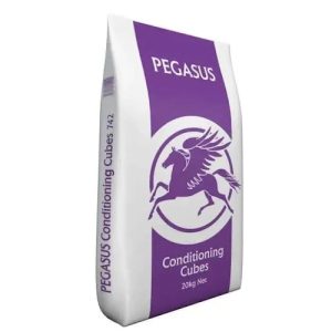 Pegasus Condition Cubes Purple 20KG
