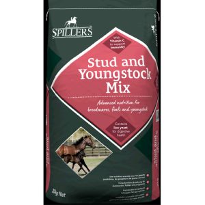 Spillers Stud Youngstock