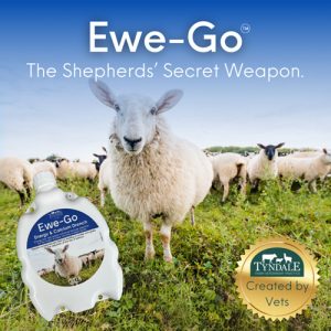EWE-GO 1L Energy & Calcium Drench for Ewes
