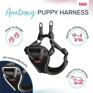 Halti Ana Pup Harness Grey XS